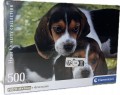 Clementoni Puzzle 500el PIESKI Compact Close together 35536