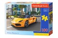 Puzzle Castorland Puzzle 100 elementów Puzzle Arrinera Hussarya 100