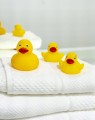 Kaczuszki Kaczka do kąpieli BEZ DZIURKI TULLO 3szt