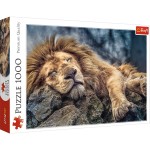 Trefl Puzzle 1000 el. Śpiący lew