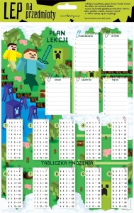 Plan lekcji ELEKTROSTATYCZNY PRZYKLEJAJ ODKLEJAJ MINECRAFT