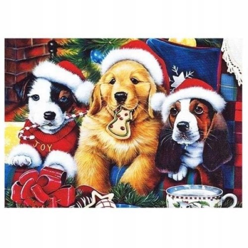 13129c1bb0f81b5ea05cc1f8291f2674