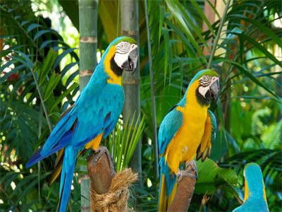 3eba8f38a7350a85120d0f47b8c0d093