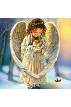 Diamentowa mozaika Aniołek z kotkiem 30x40cm 1009333