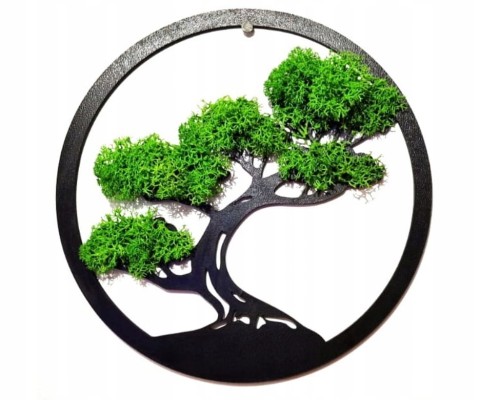 Dekoracja ścienna Koło drzewo bonsai koło 30cm z mchem chrobotkiem Obraz