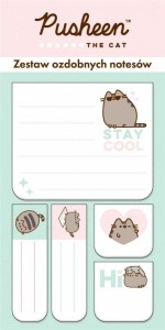 Zestaw notesów Pusheen Wielokolorowy