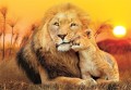 Puzzle Clementoni 180el Lwy Nieoczekiwany uścisk super prezent