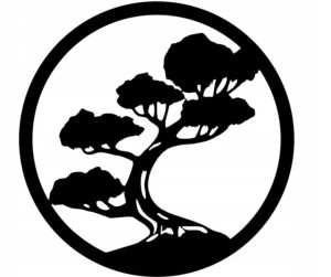 Dekoracja ścienna Koło drzewo bonsai koło 20cm baza chrobotek