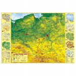 Podkładka na biurko Derform POLSKA 35 cm x 49,5 cm