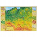 Podkładka na biurko Derform POLSKA 35 cm x 49,5 cm