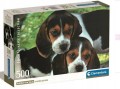 Clementoni Puzzle 500el PIESKI Compact Close together 35536