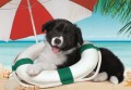 Puzzle Clementoni 104 elementów. Super Kolor. Sunny Beach