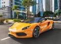 Puzzle Castorland Puzzle 100 elementów Puzzle Arrinera Hussarya 100