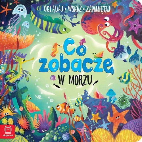 Co zobaczę w morzu Sylwia Kajdana