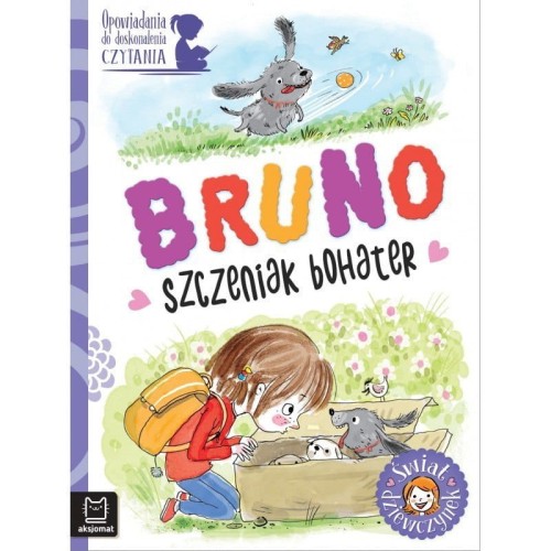 KSIĄŻKA Bruno, Szczeniak Bohater. Opowiadania Do Doskonalenia Czytania