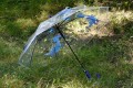 Parasol automatyczny bezbarwny dziecięcy dinozaury